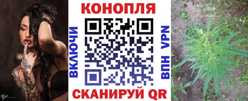 Бошки марихуана OG Kush  Брюховецкая 